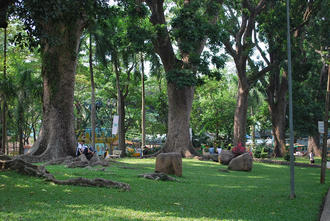 Какая красивая аллея таких могучих, крепких деревьев в зоопарке Сайгона во Вьетнаме - Отзыв о Сайгоне (Хошимин) Юрьева Андрея