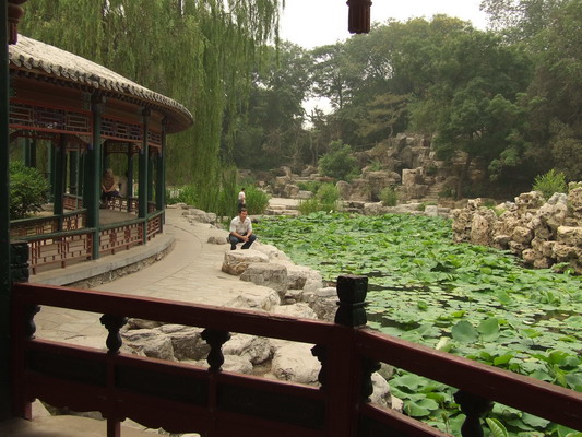 Вид в Пекинском Зоопарке