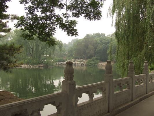 Фото из Пекинкого зоопарка