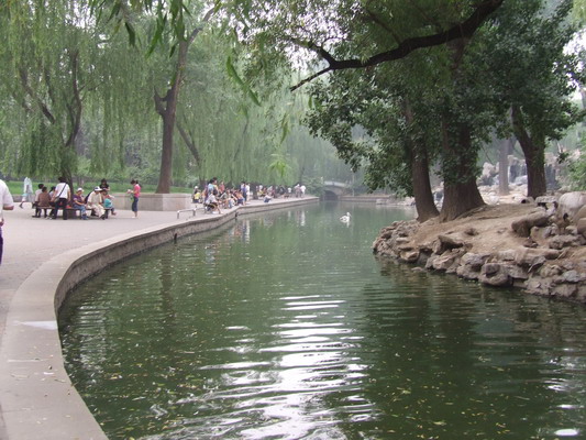 Еше одно фото из китайкого Зоопарка Пекина beijing