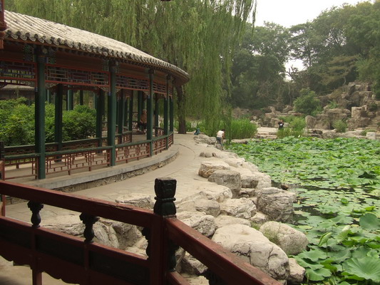 Фото видов Зоопарка Пекина  beijing