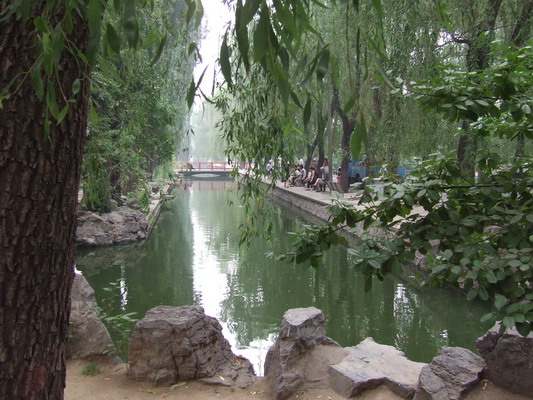Фото Пекинского Зоопарка beijing