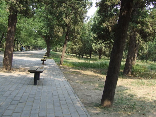 Большой и запущенный парк на территории Храма Неба Пекина beijing