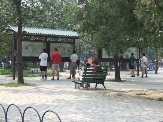 Горожане любят отдыхать в парке Храма Неба,<BR>Например, можно бесплатно почитать прессу Пекина beijing