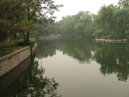 В Пекинском Зоопарке Пекина beijing