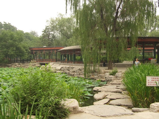 Фото видов зоопарка Пекина beijing