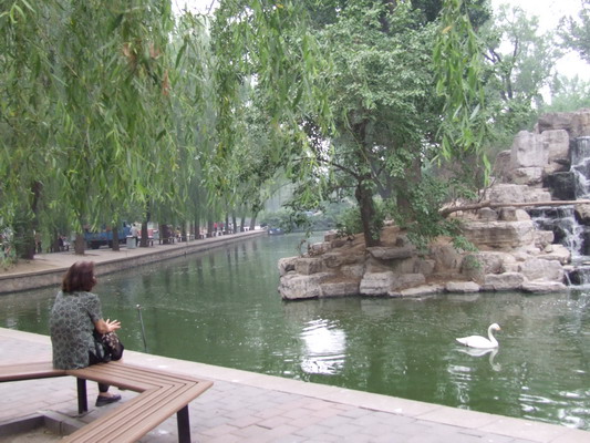 Фото видов зоопарка Пекина beijing