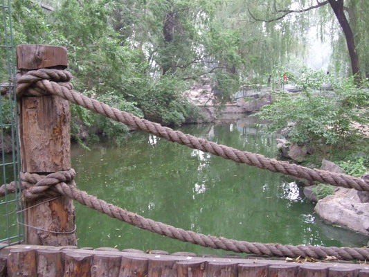 В Зоопарке Пекина beijing