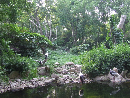 Фото видов Шанхайского Зоопарка shanhai