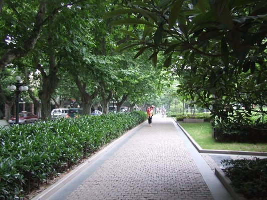 Местный парк какого-то района Шанхая, где устали там и отдохнули  shanhai