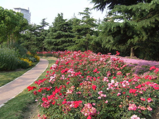 Парк недалеко от здания визового отдела (где продляли Шанхайскую визу) shanhai